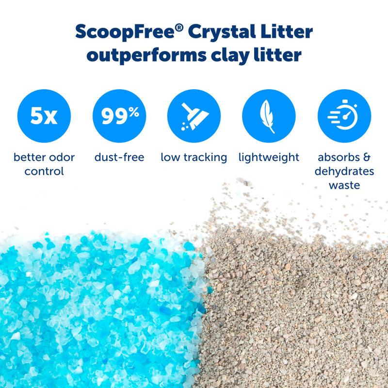 Litter box refills best sale